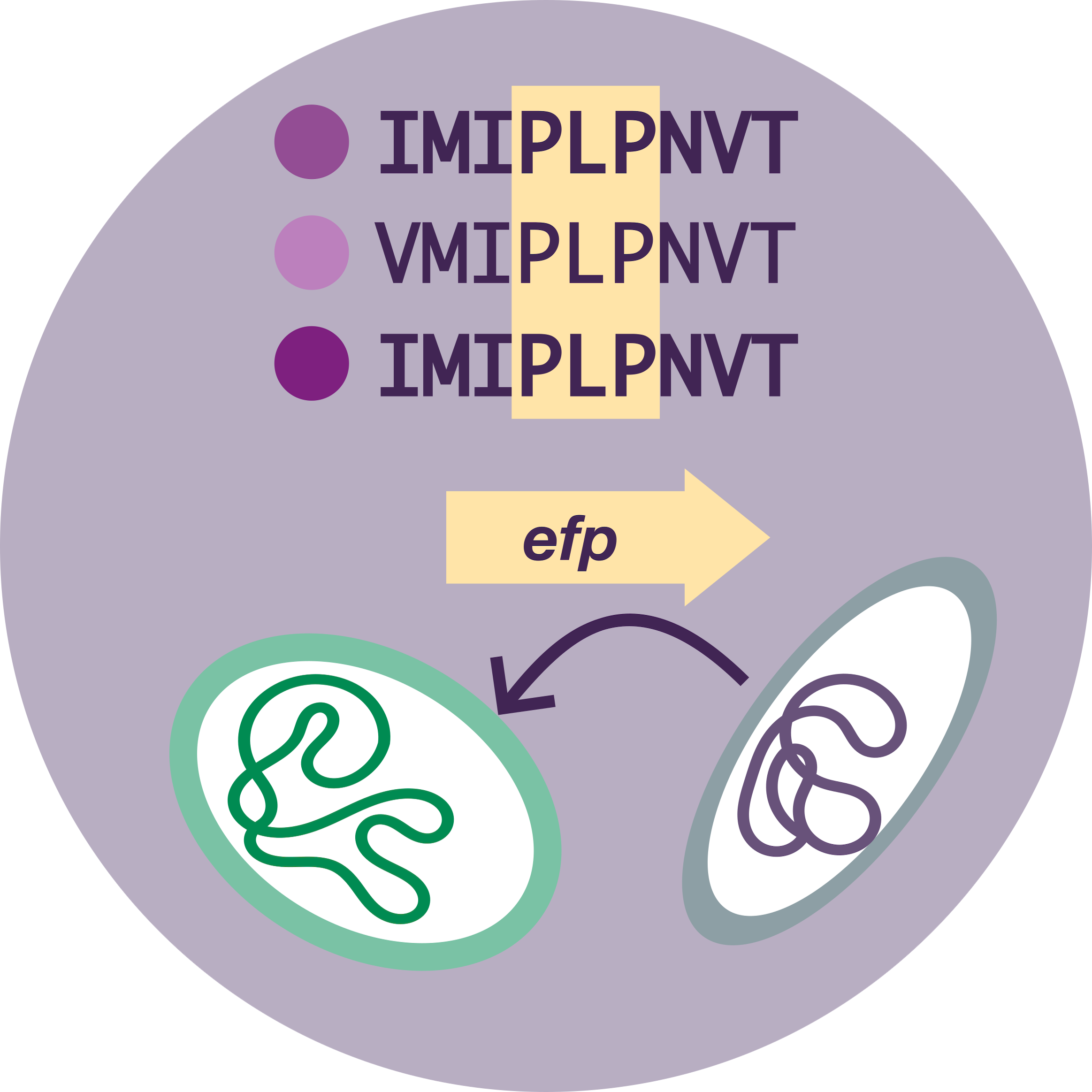 Planctomycete ValS sequences from top to bottom: *P. limnophilia*, *A. californiensis*, *G. maris*