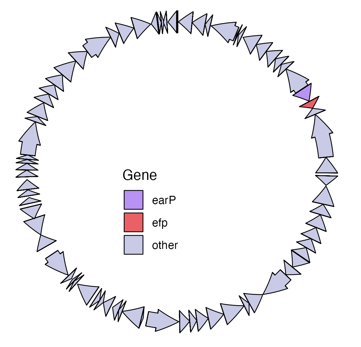 Environmental plasmid from desert spring benthic microbial communities showing co-location of an efp and earp gene. Each arrow represents an individual gene.